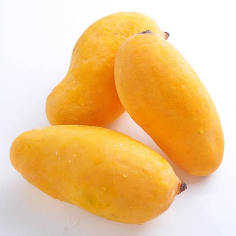 Sindhri