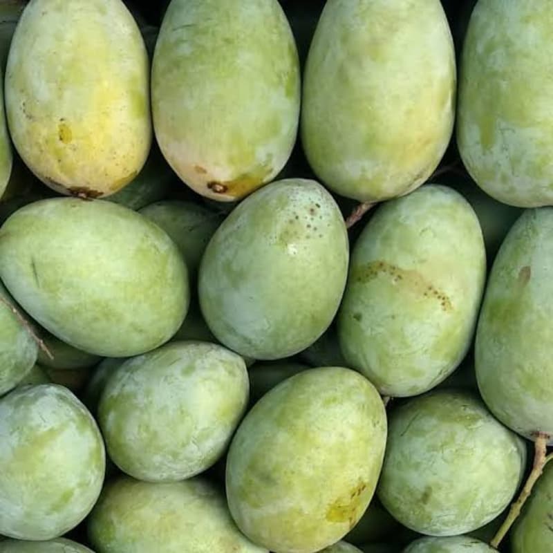 Langra