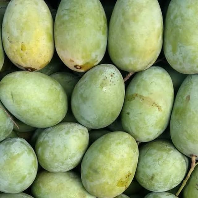 Langra